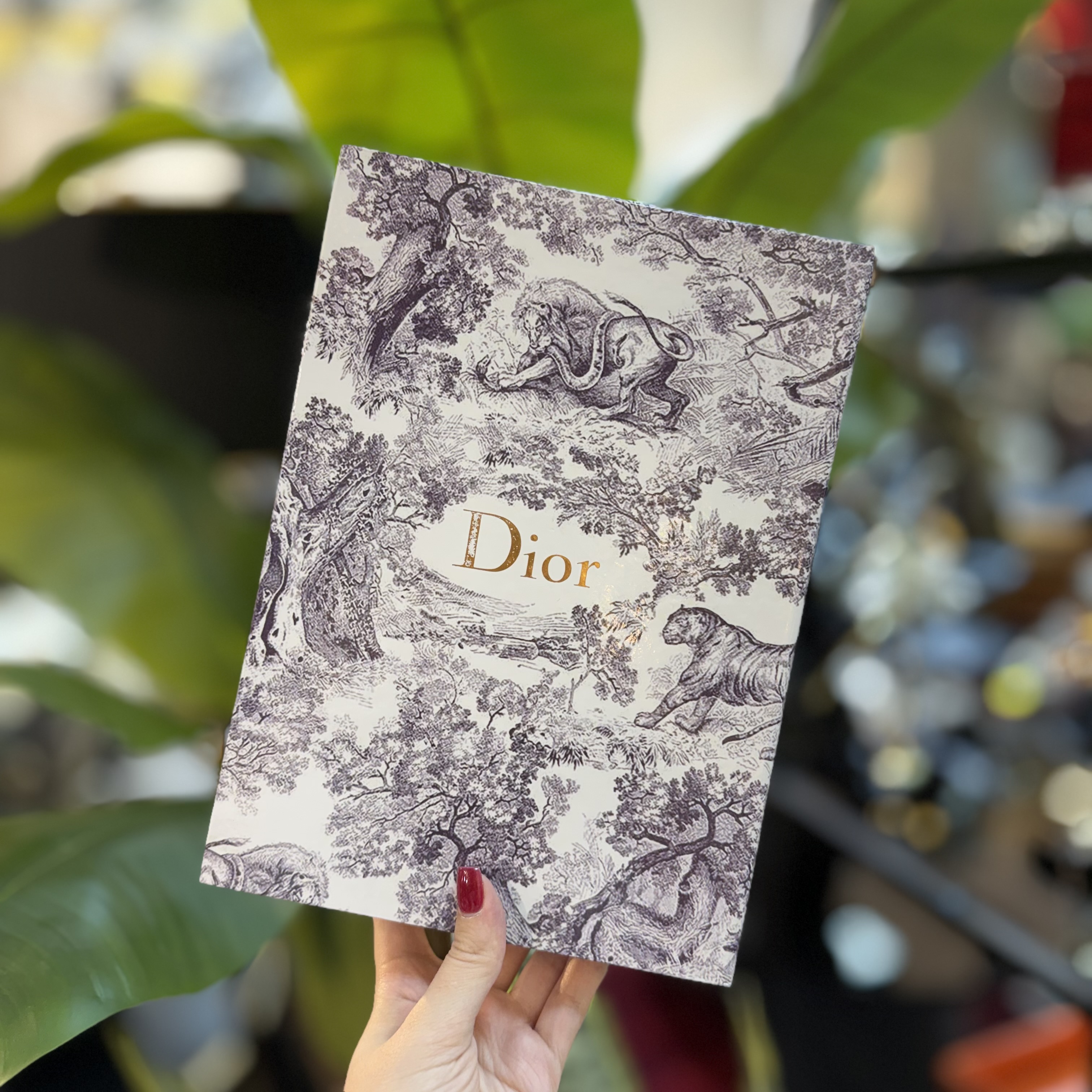 کتاب دکوراتیو دیور Dior ۲۴۶۱